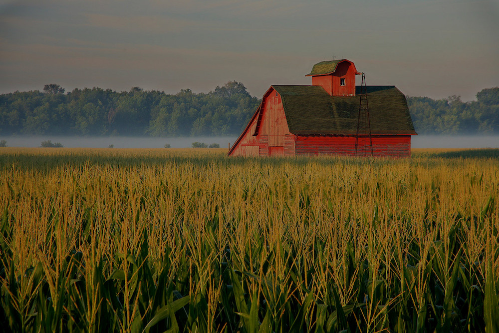 farm and crop insurance Chesterfield MI